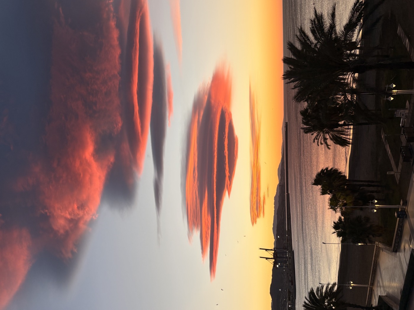 Lenticular clouds turning deep pink over the bay at sunset, with palm trees and port cranes in silhouette.