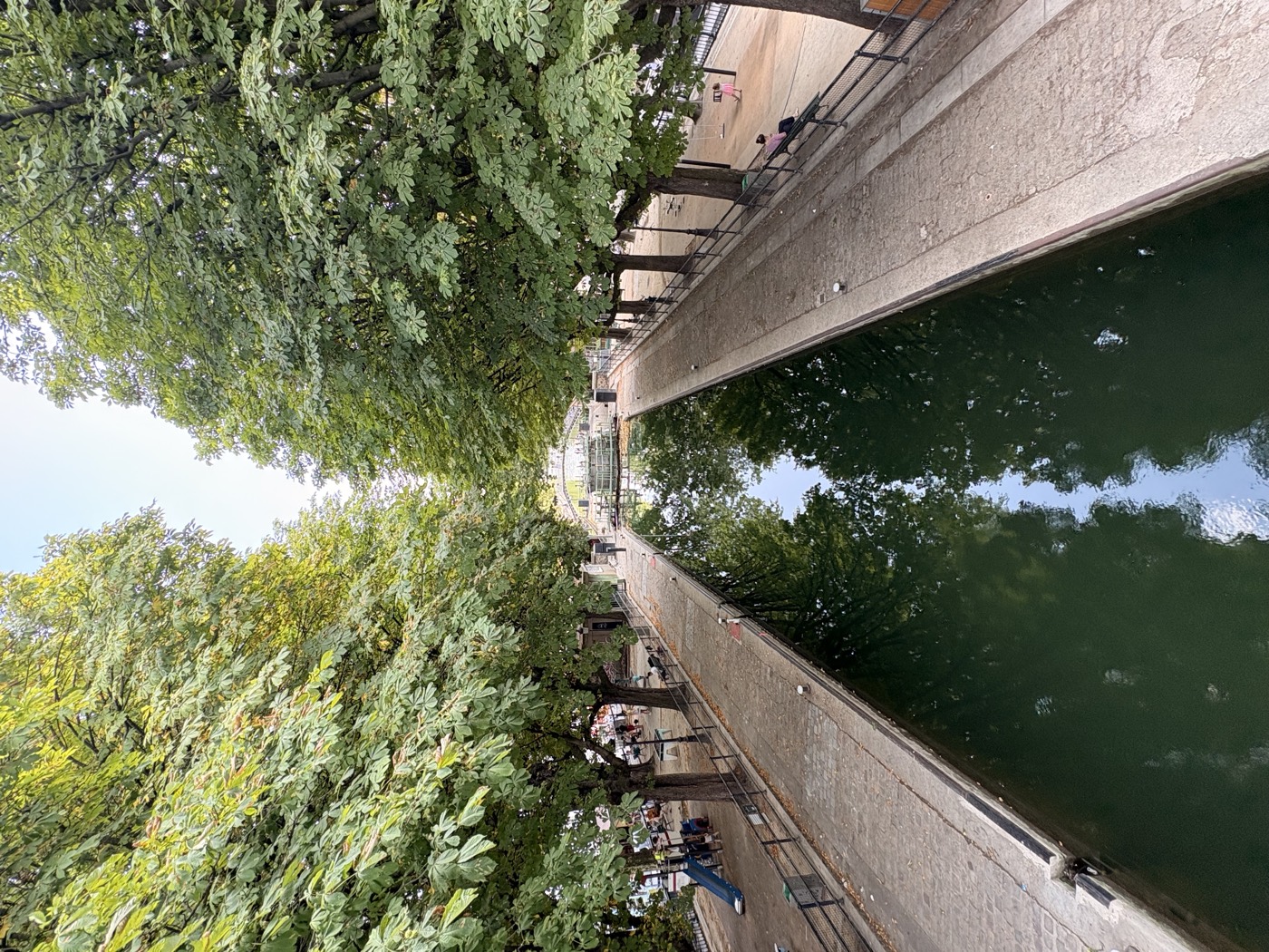 Canal Saint-Martin in Paris seen from a bridge, the water still and green between two rows of plane trees.